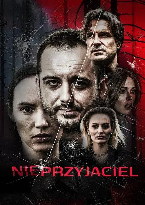 血色断片HD中字在线观看-《血色断片》电影完整版免费-1080P高清画质播放-波兰烧脑片迅雷下载