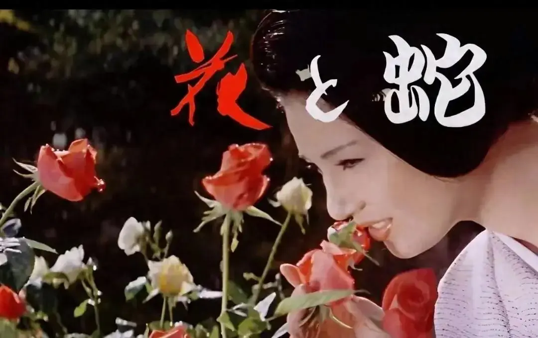 资源图片