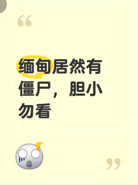 《缅甸僵尸出土事件》高清完整版在线播放 - 现场全程录像揭秘缅北真相 - 缅甸僵尸出土事件视频免费观看