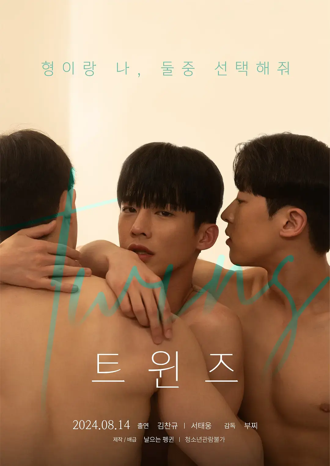 2024韩国电影《双胞胎》HD高清免费观看-双胞胎兄弟悬疑故事完整版-星空影院无删减在线播放