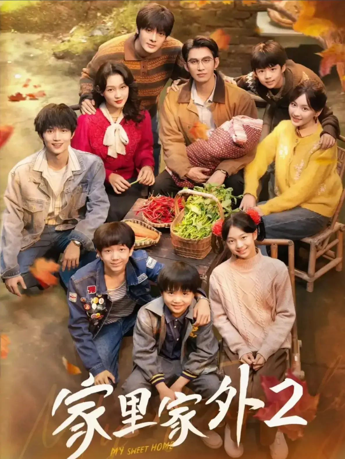《家里家外2》国产短剧高清全集 - 大陆剧完整版资源免费看 - 手机电脑在线流畅播放
