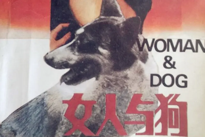《女人与狗》俄罗斯电影全集播放-《女人与狗》完整版1080P高清-免费在线观看无删减