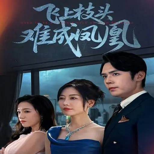 《飞上枝头难成凤凰》全63集-新剧免费观看未删减版-高清资源在线播放与网盘下载