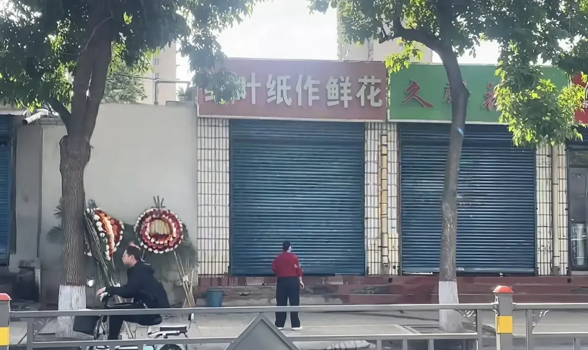 原平纸艺鲜花店门口实拍视频无删减全集HD高清播放-《原平纸艺鲜花店门口实拍视频》1080P流畅点播-百度云/迅雷阿里云盘资源