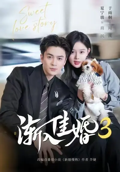《渐入佳婚3》全集免费在线观看完整版-《渐入佳婚3》1080P高清无删减播放-热播短剧无广告流畅观看-策驰影院资源同步更新