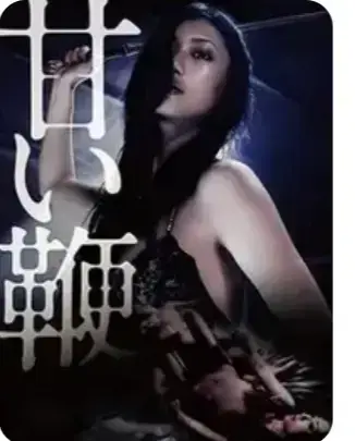 《甜蜜皮鞭》未删减版全集在线看-甜蜜皮鞭1080P高清中字完整版-免费观看无广告网盘资源