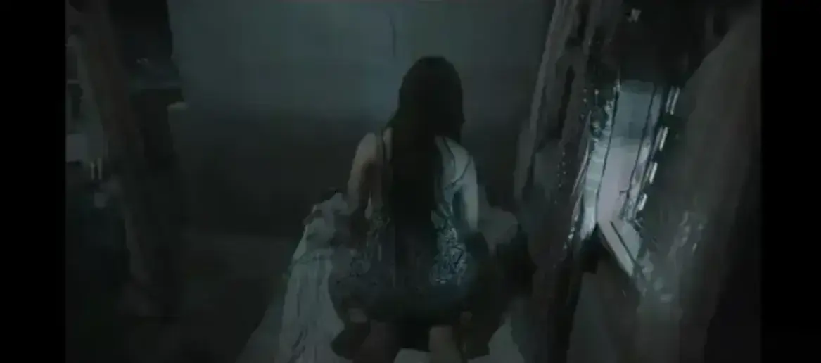 野花完整版1080P画质观看