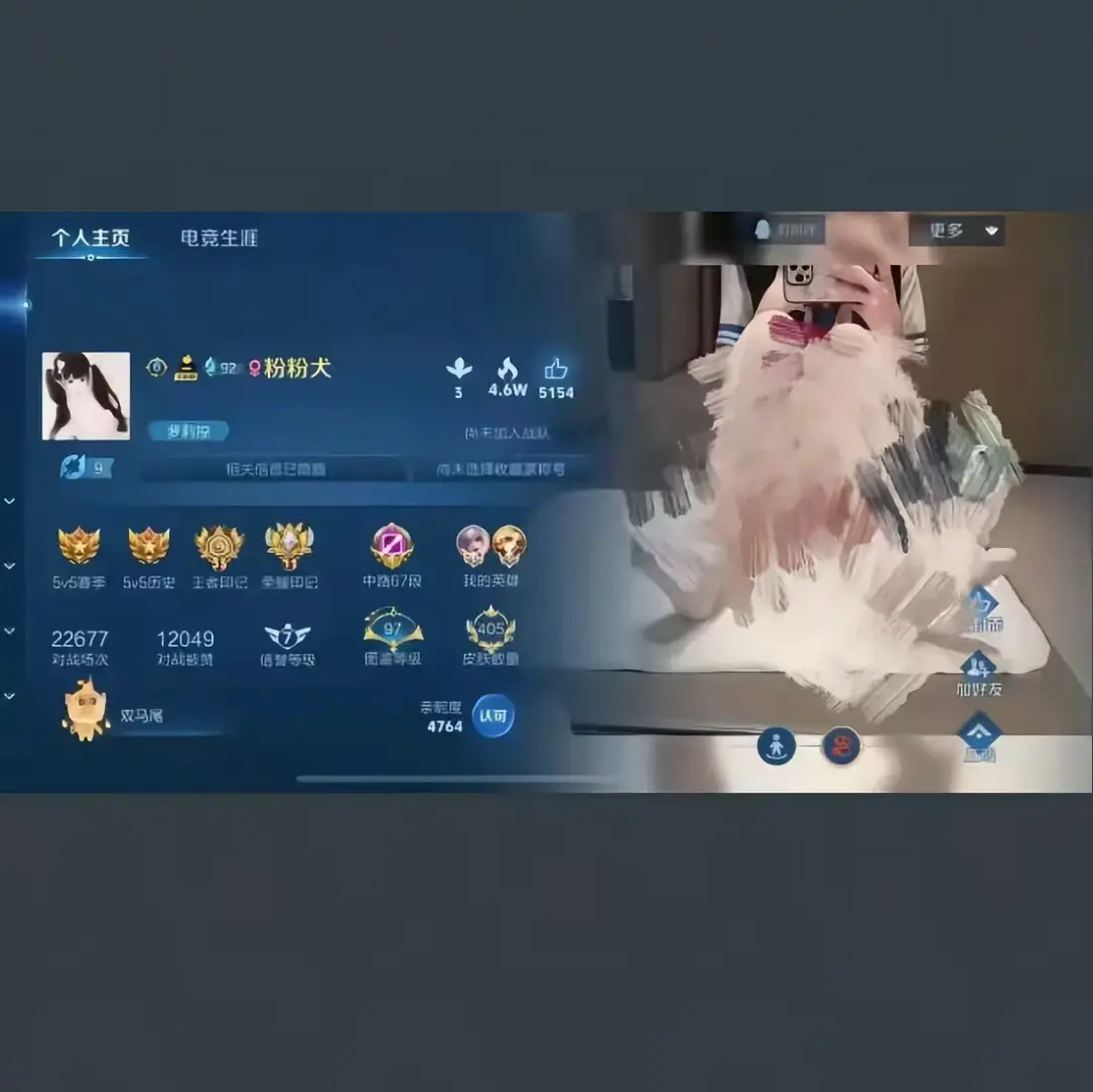 粉粉犬王者主页视频全集 - 王者荣耀皮肤国标解说 - 高清无删减在线观看 - 百度云资源下载