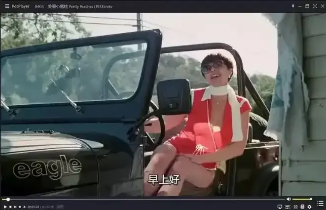 《美丽小蜜桃》高清完整版免费在线观看-1978年美国喜剧电影未删减资源-《美丽小蜜桃》1080P中字播放-全网同步更新