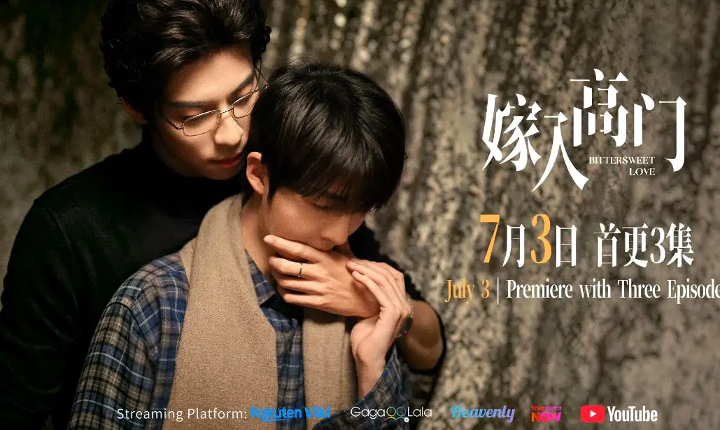 2026新剧《嫁入高门的男人》全集免费观看-双男主高嫁爱情剧《嫁入高门的男人》22集全-1080P高清画质无删减在线看