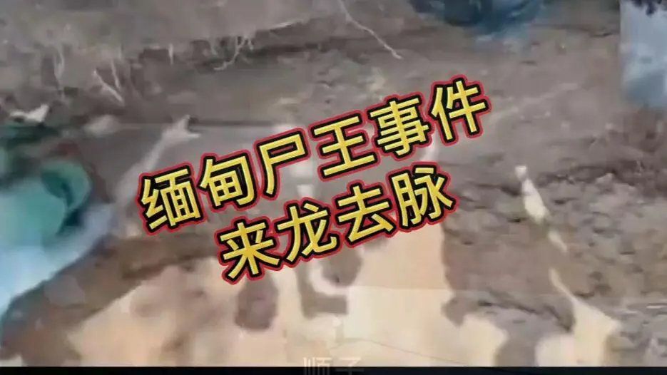 《缅甸僵尸出土事件视频》诡异真相解密在线观看免费播放 - 爆火视频缅甸僵尸出土事件完整版资源在线观看高清下载