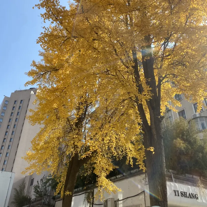 《婚婚逢她》短剧全集合集免费观看-婚婚逢她未删减版HD高清播放-在线观看流畅不卡顿网盘分享