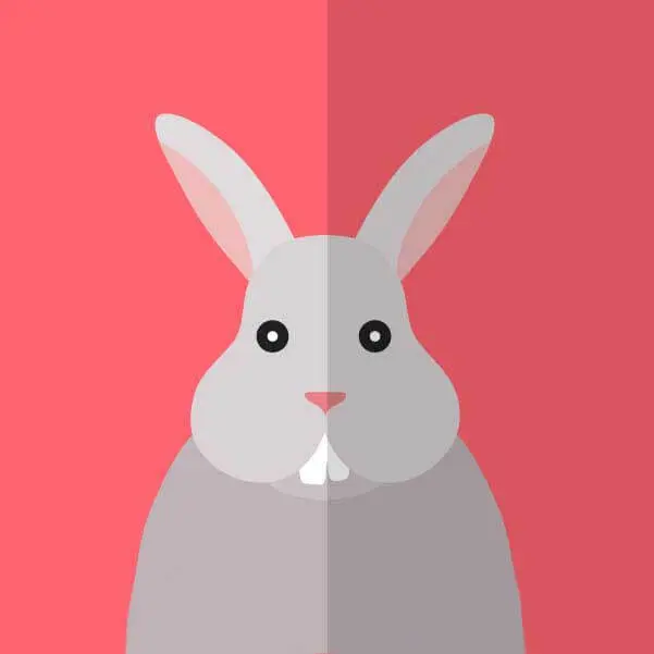 《性课程》2025韩剧高清完整版在线播放 - 性课程全集免费观看 - 最新韩剧资源无广告